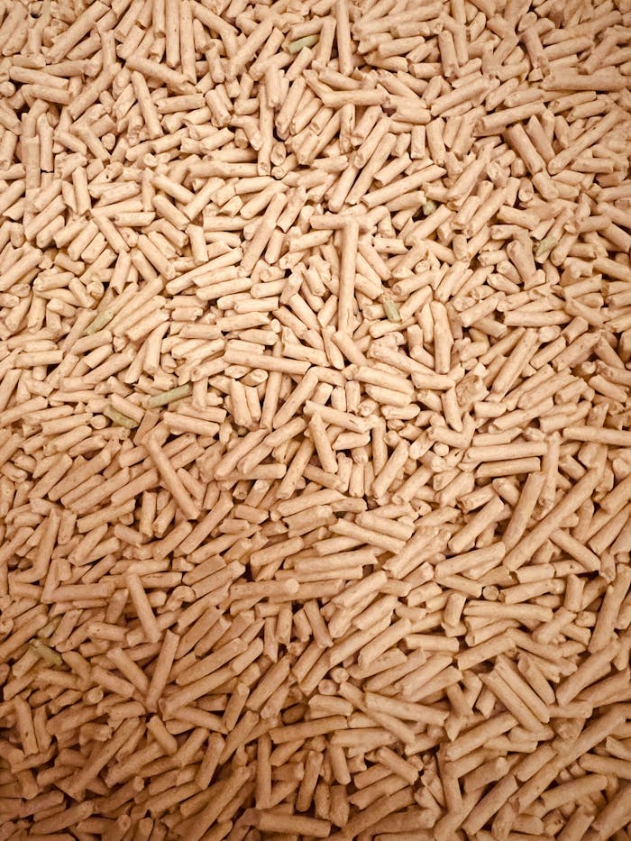 Services A detailed top view of a large pile of wood pellets used for renewable fuel and energy.